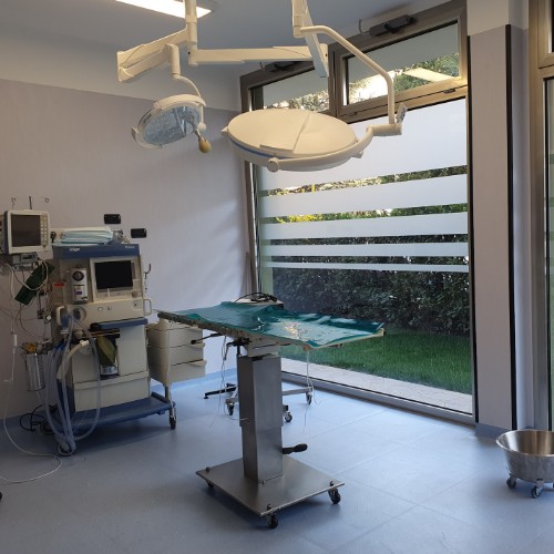 Clinica Veterinaria San Carlo - Chirurgia e chirurgia di emergenza - servizi